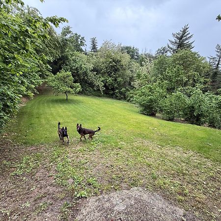 Bnb Dog And Friend Rocchetta Tanaro Kültér fotó